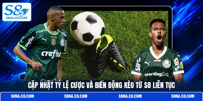 Cập nhật tỷ lệ cược và biến động kèo từ S8 liên tục